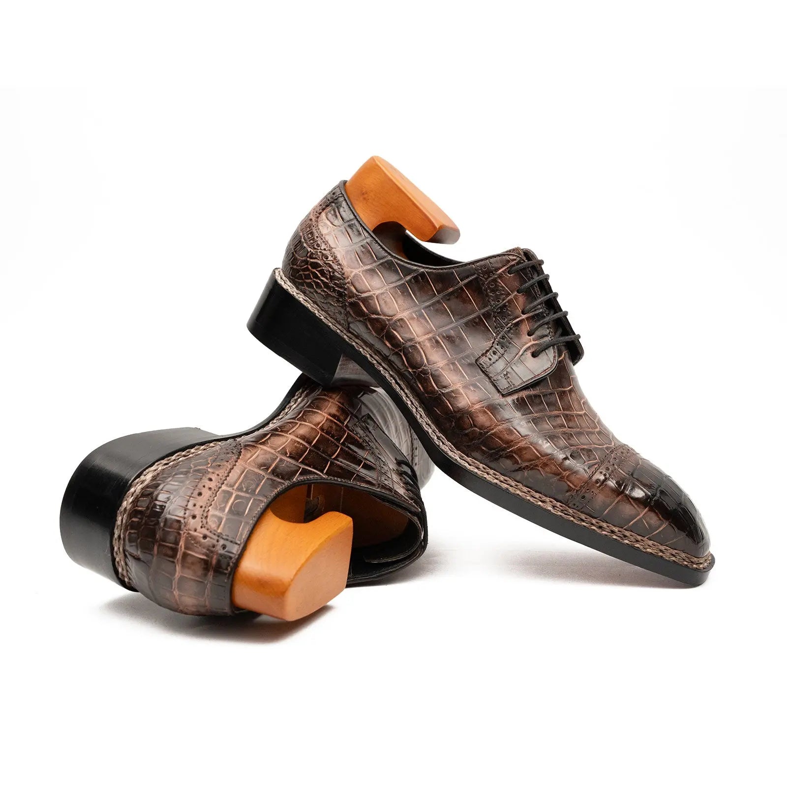 Mocha Crocodile Norwegian Derby