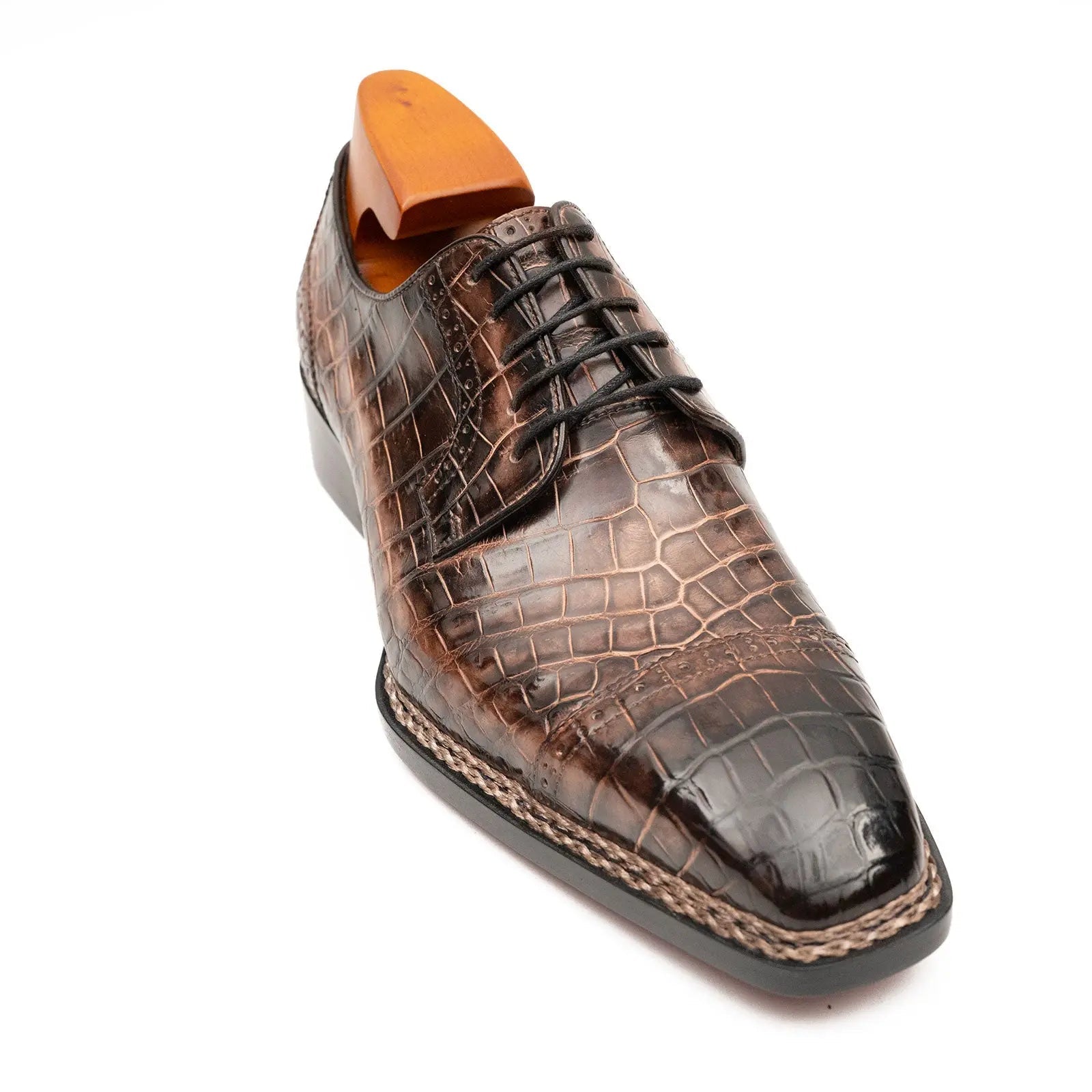 Mocha Crocodile Norwegian Derby