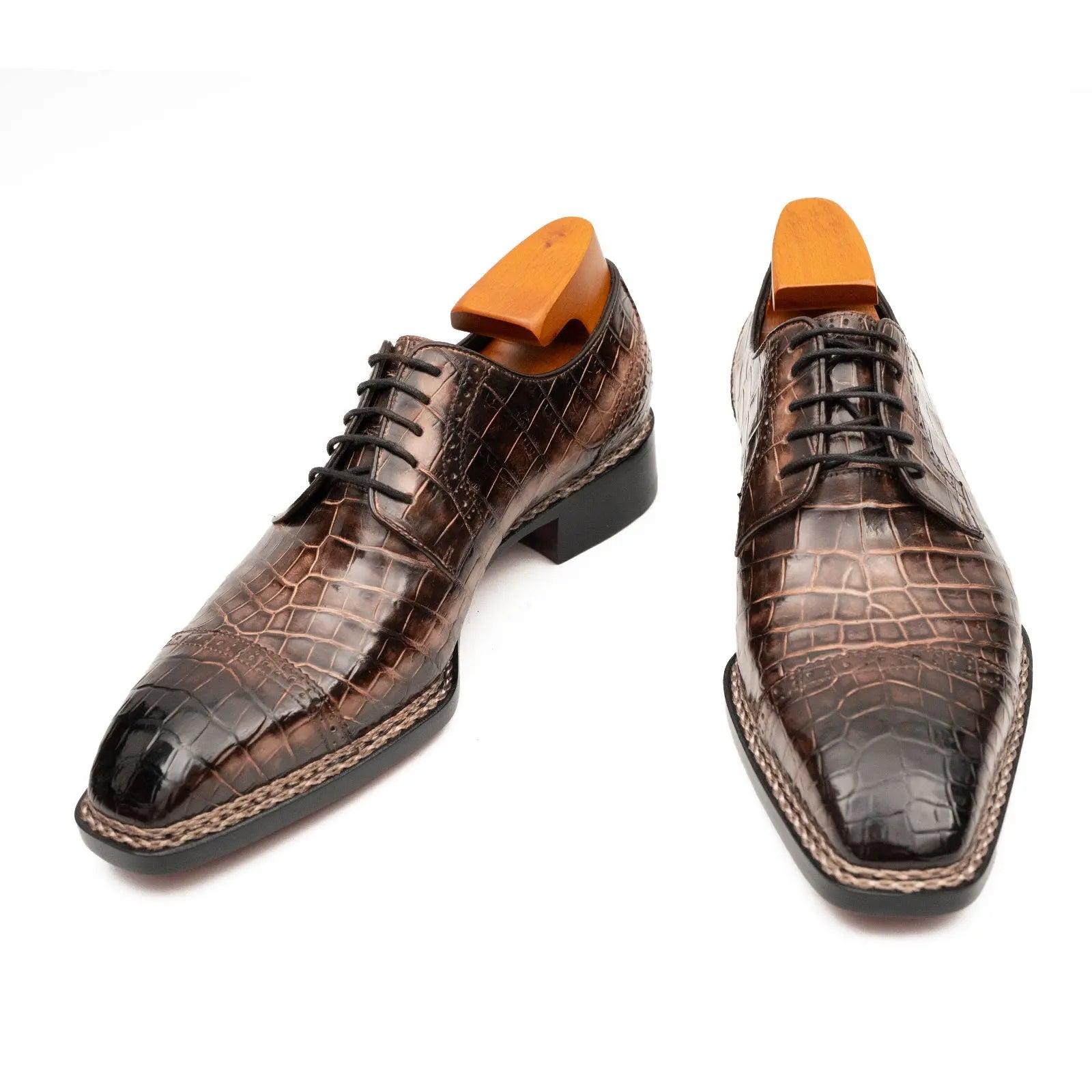 Mocha Crocodile Norwegian Derby