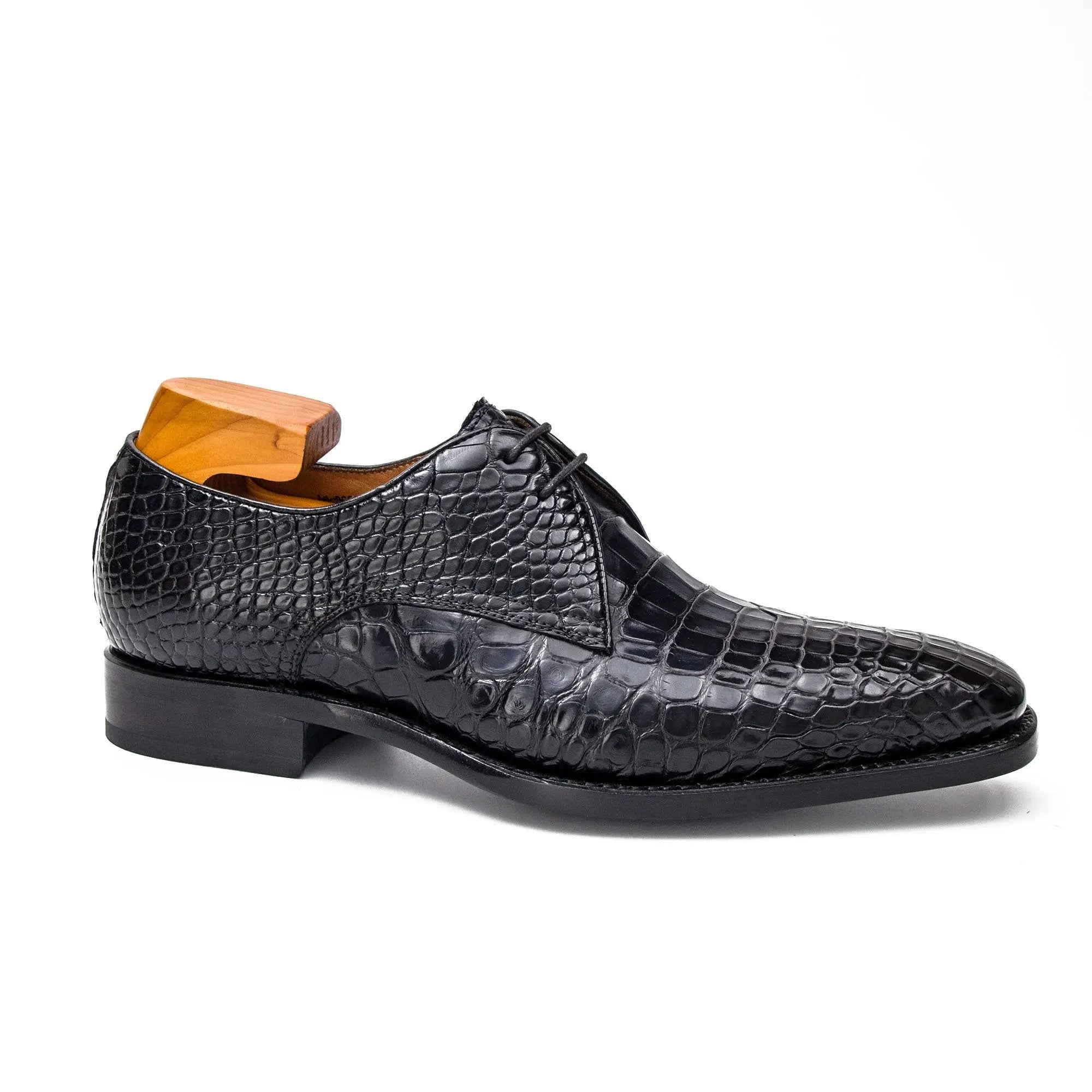 Midnight Crocodile Derby