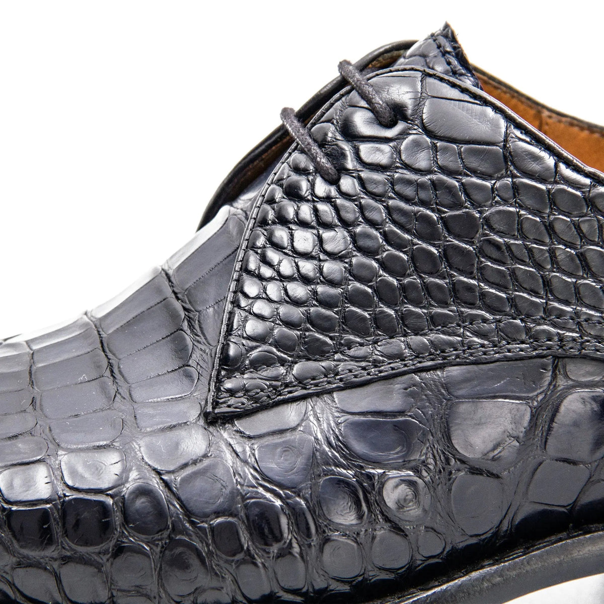 Midnight Crocodile Derby