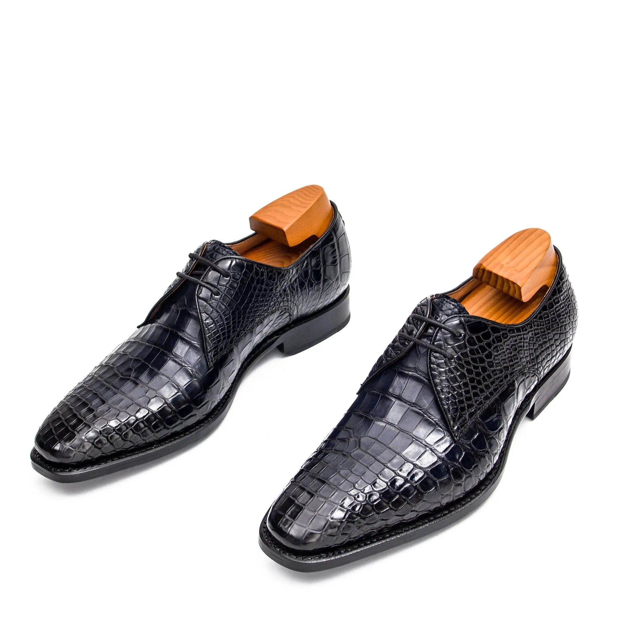 Midnight Crocodile Derby