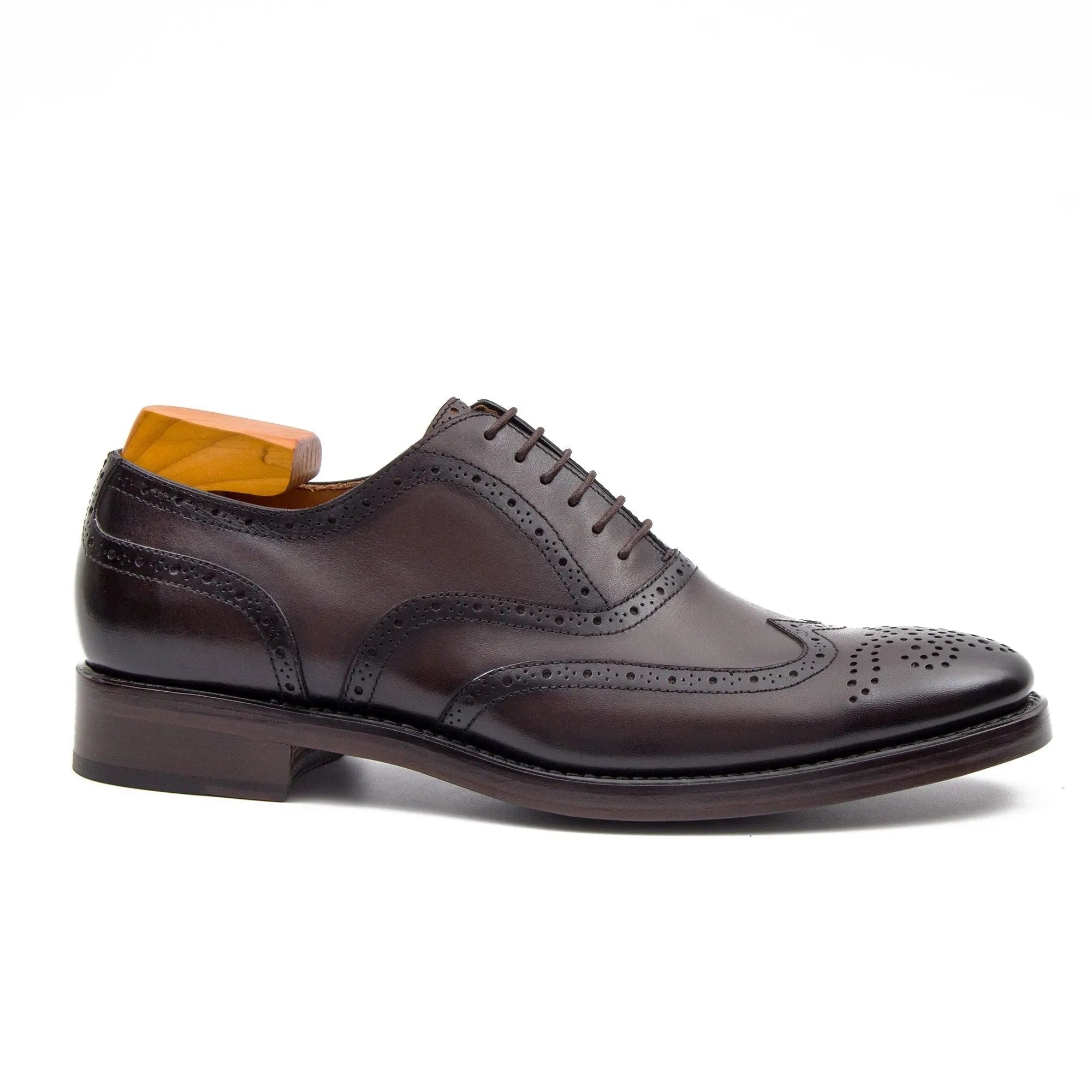 Dark Brown Wingtip Oxford