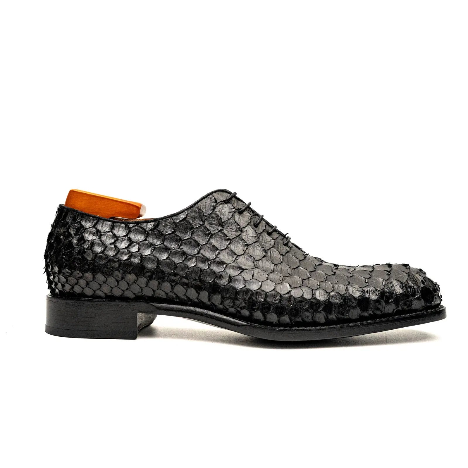 Black Python Oxford