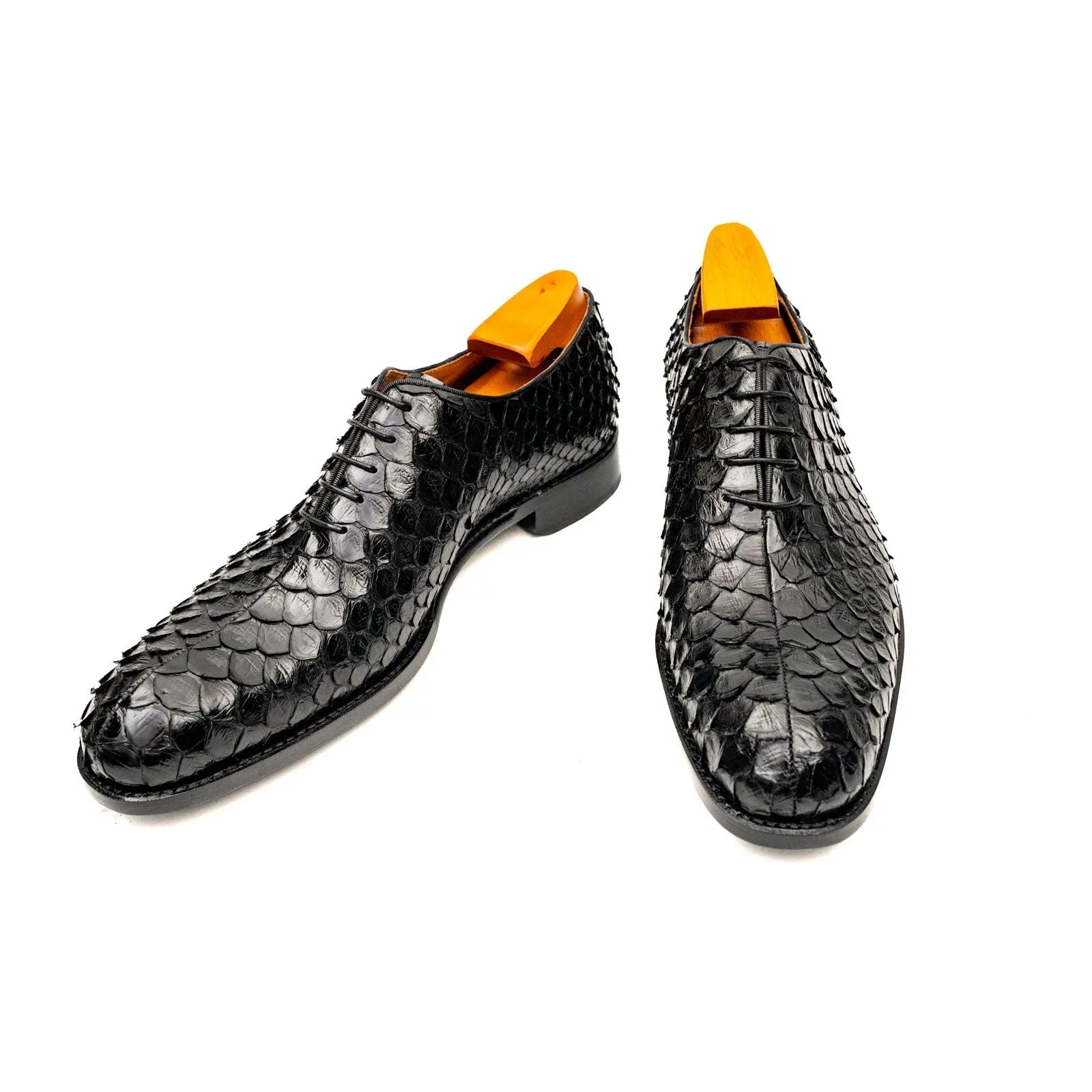 Black Python Oxford