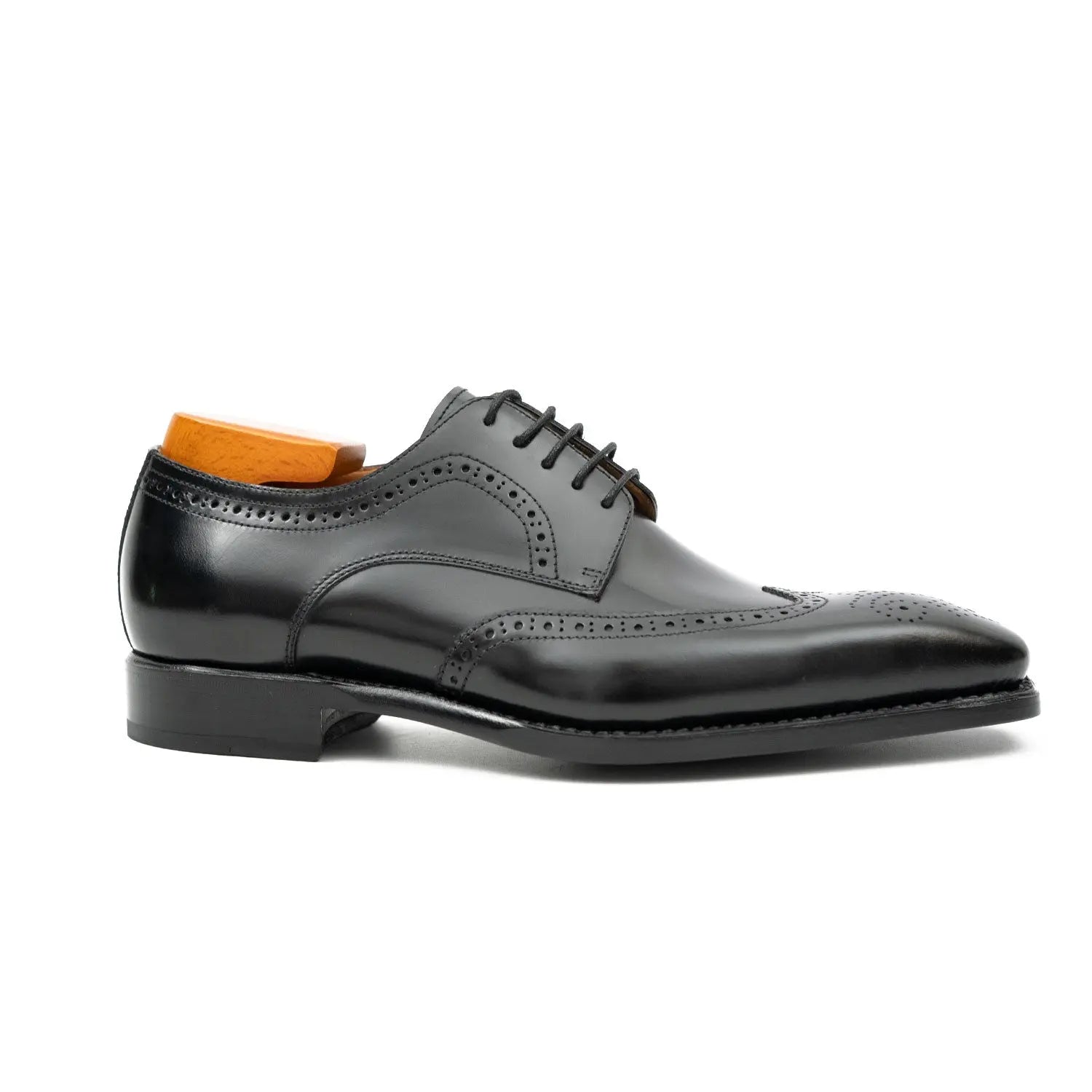 Black Burnished Wingtip Derby