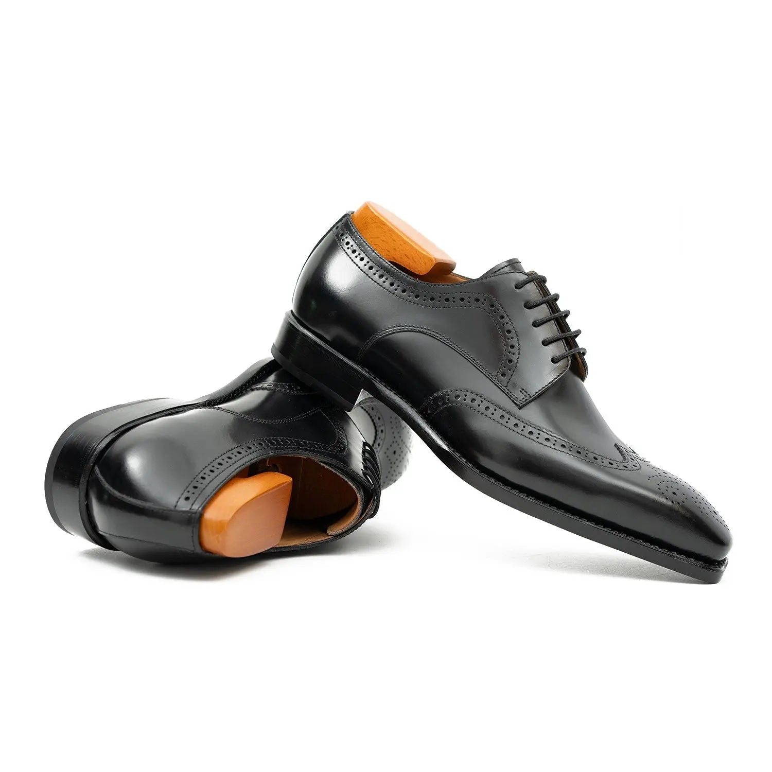 Black Burnished Wingtip Derby