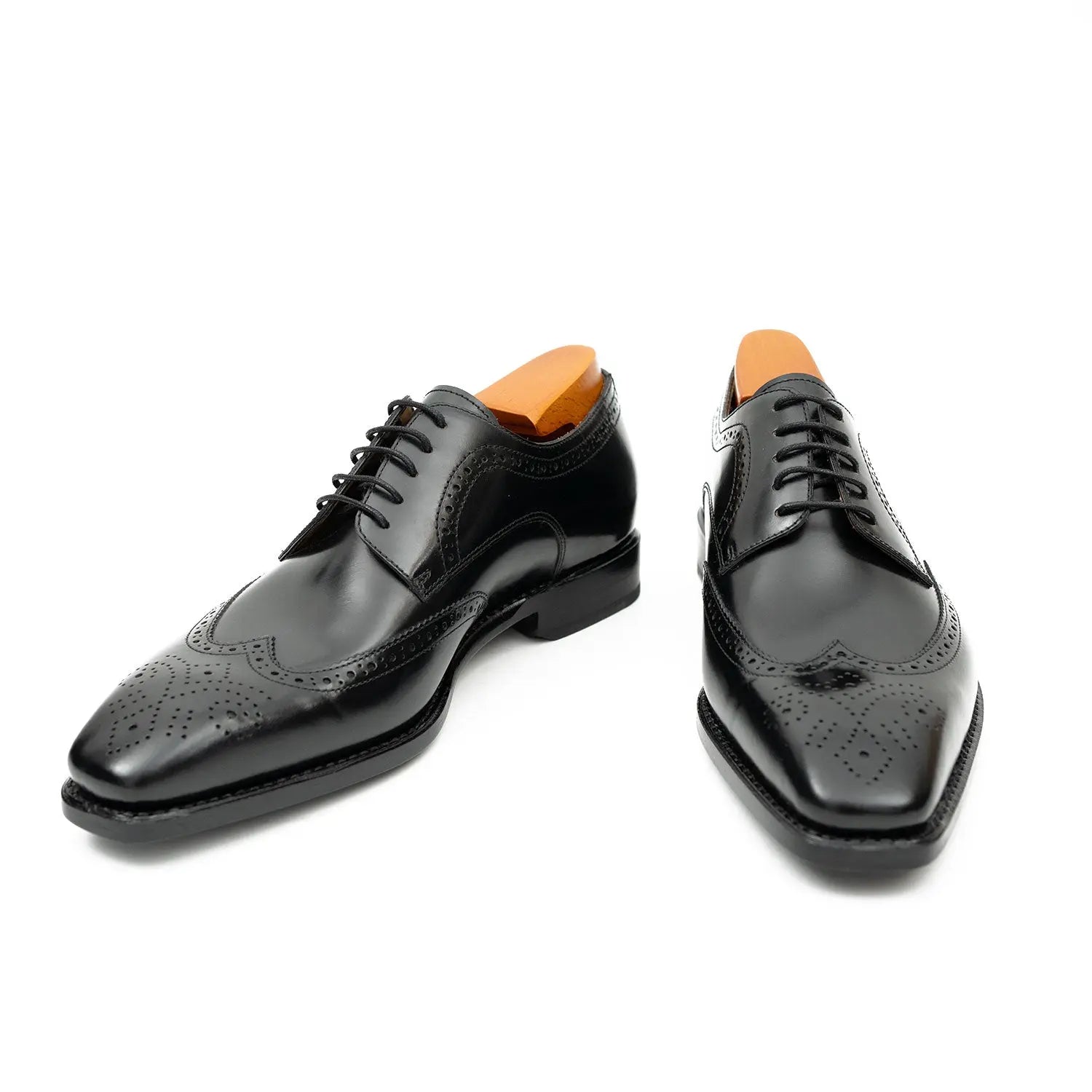 Black Burnished Wingtip Derby
