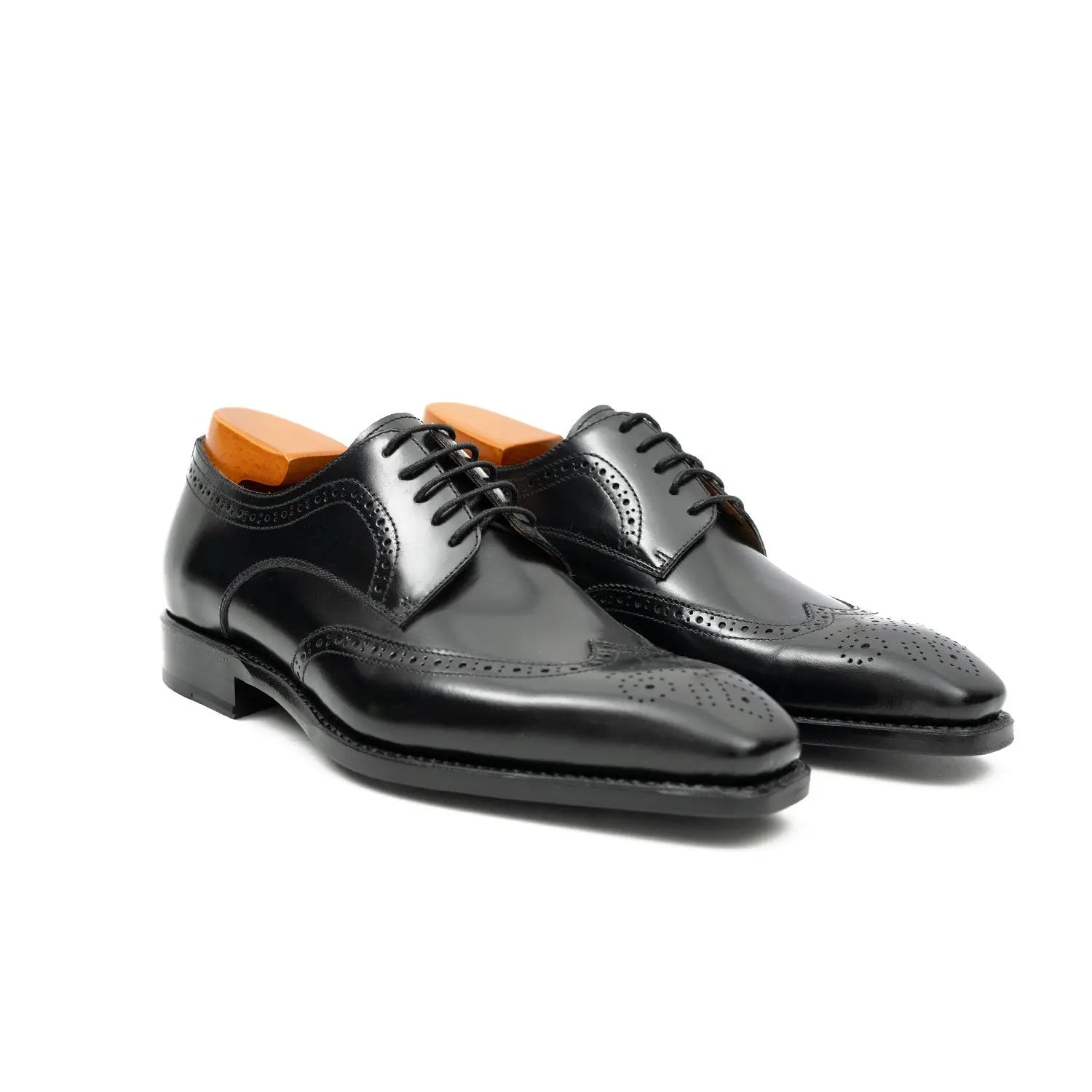 Black Burnished Wingtip Derby