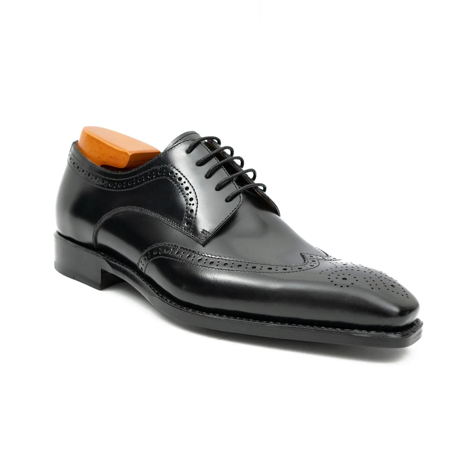 Black Burnished Wingtip Derby