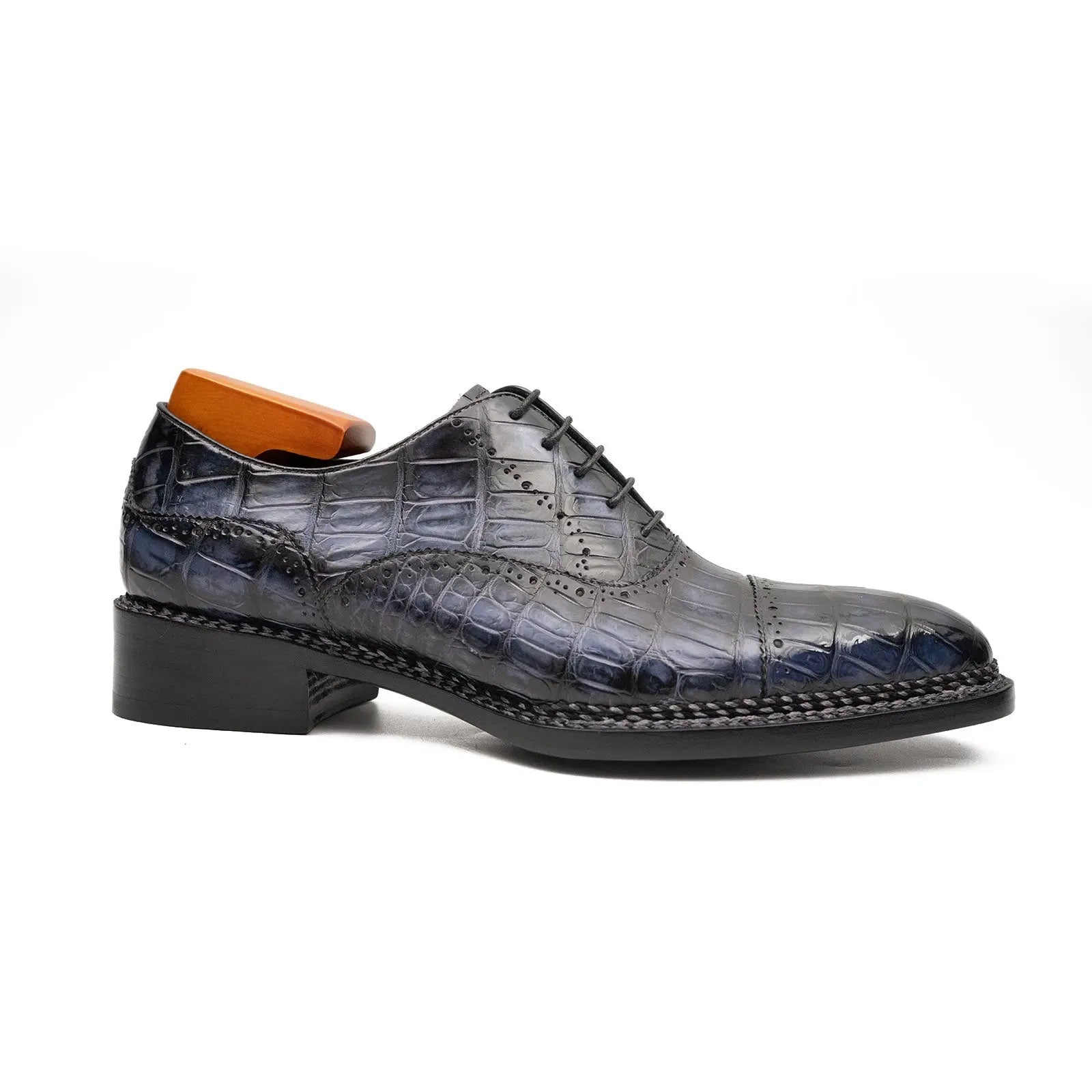 Midnight Crocodile Oxford