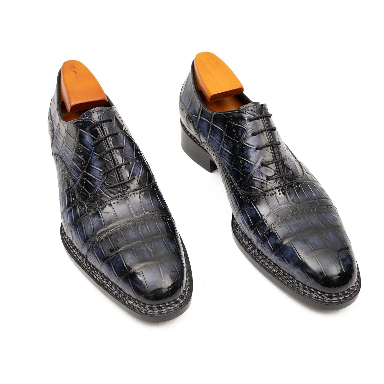 Midnight Crocodile Oxford