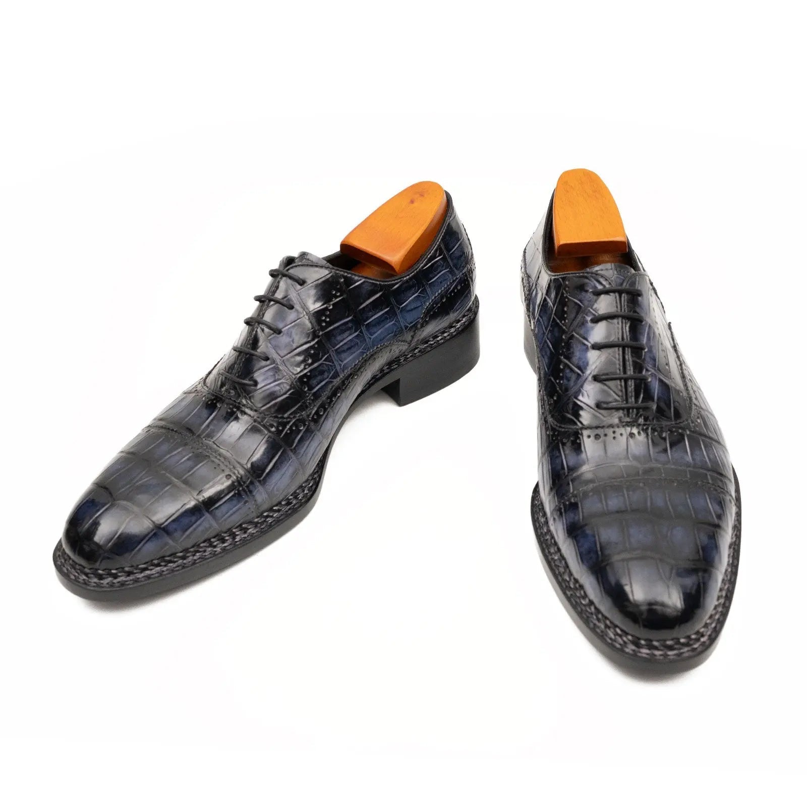 Midnight Crocodile Oxford
