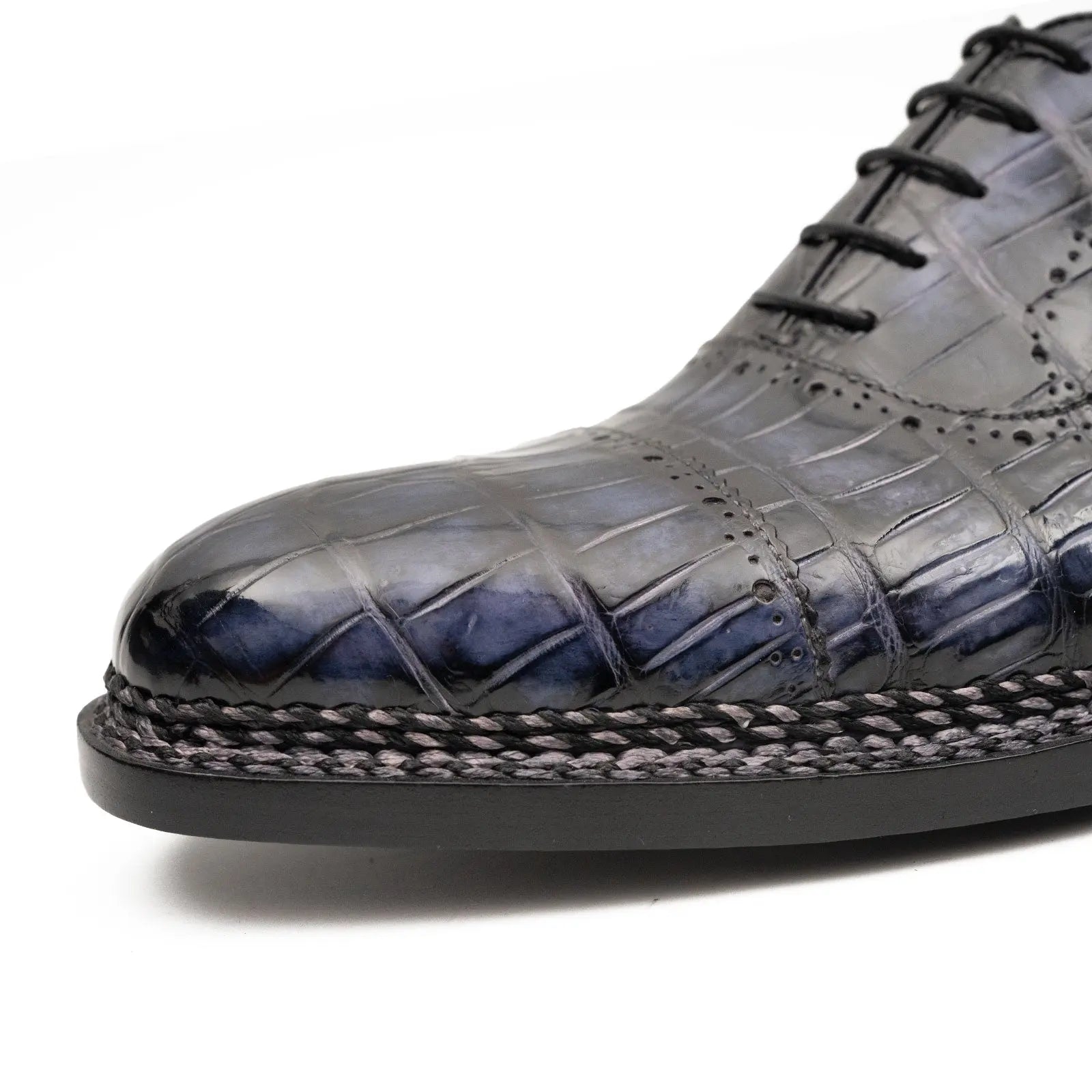 Midnight Crocodile Oxford