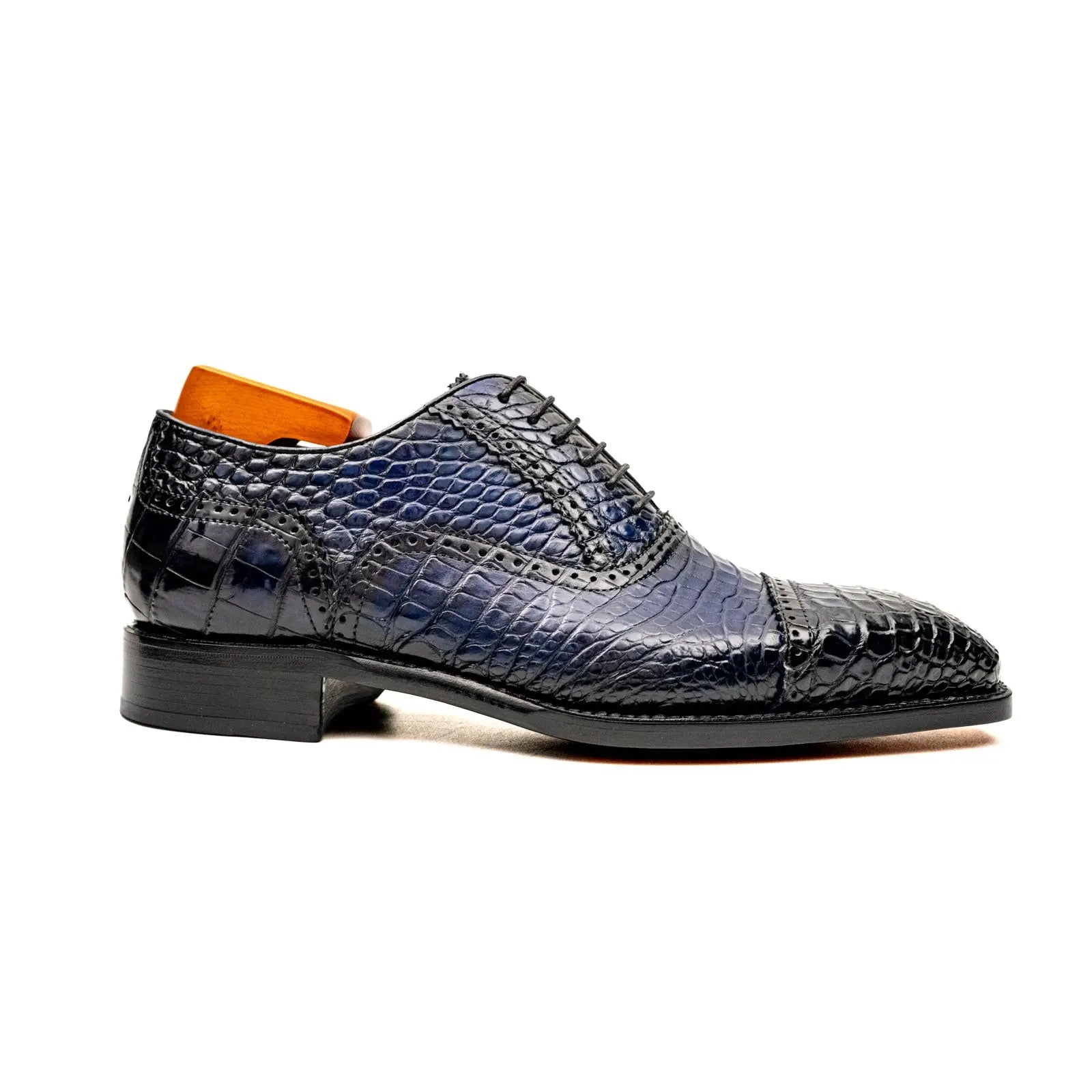 Midnight Crocodile Oxford