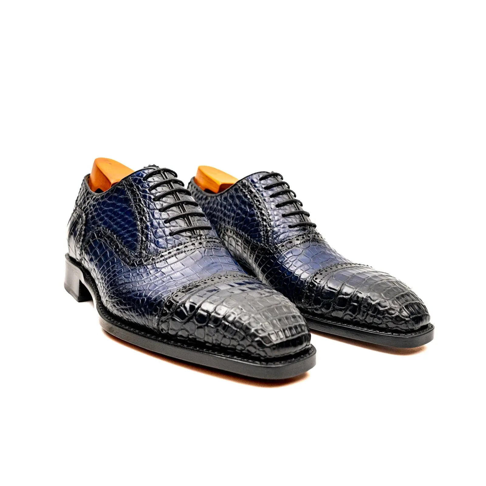 Midnight Crocodile Oxford