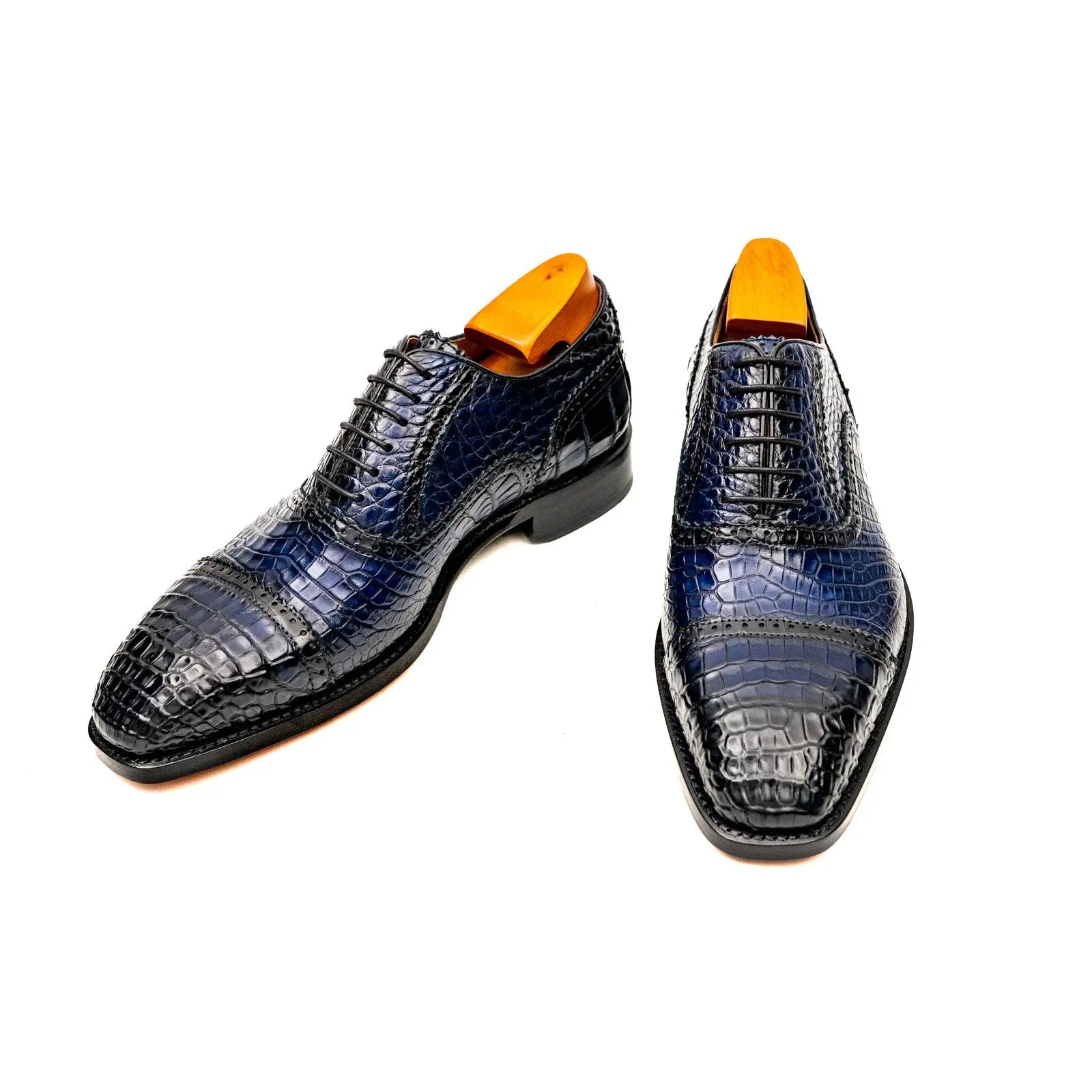 Midnight Crocodile Oxford