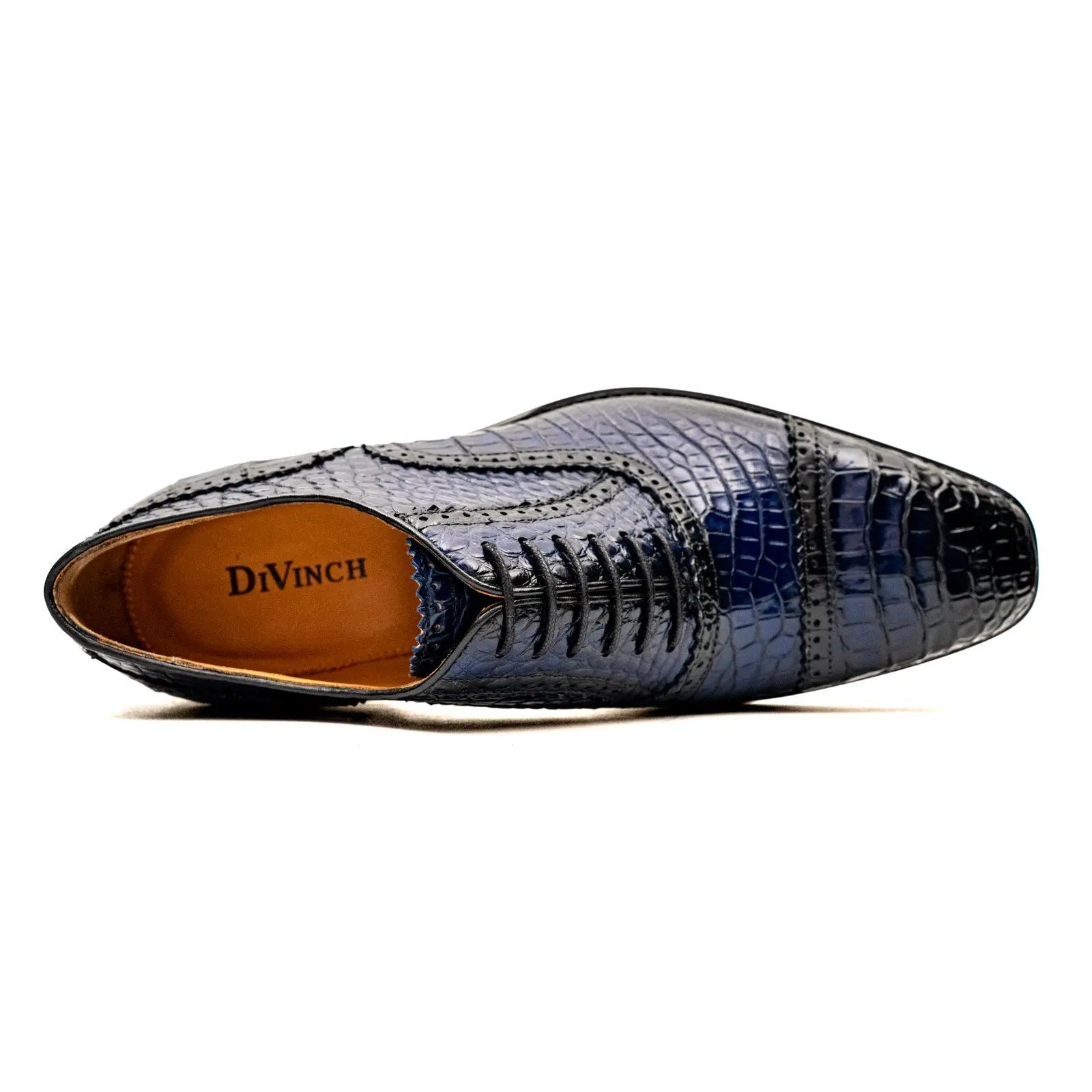 Midnight Crocodile Oxford