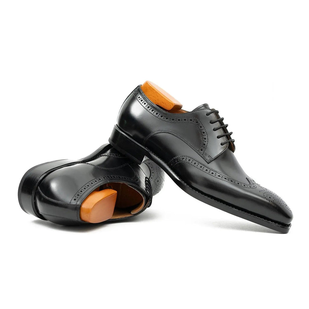 Black Burnished Wingtip Derby