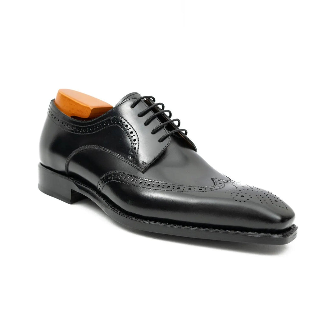 Black Burnished Wingtip Derby