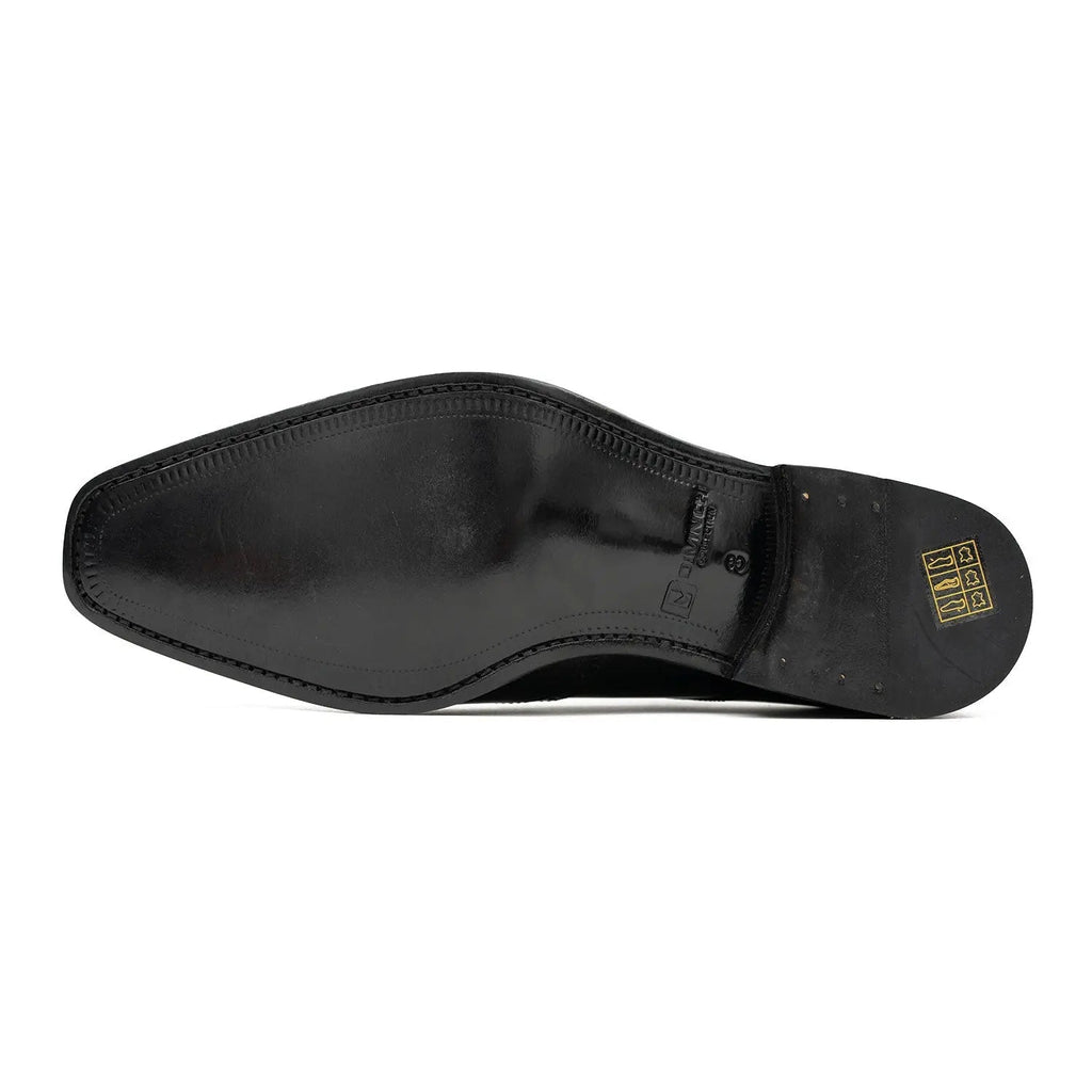 Black Burnished Wingtip Derby