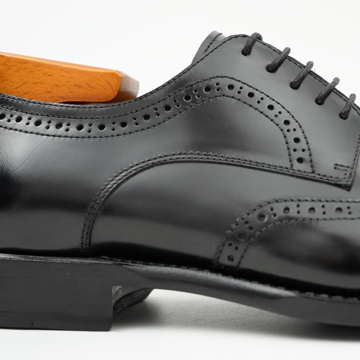 Black Burnished Wingtip Derby
