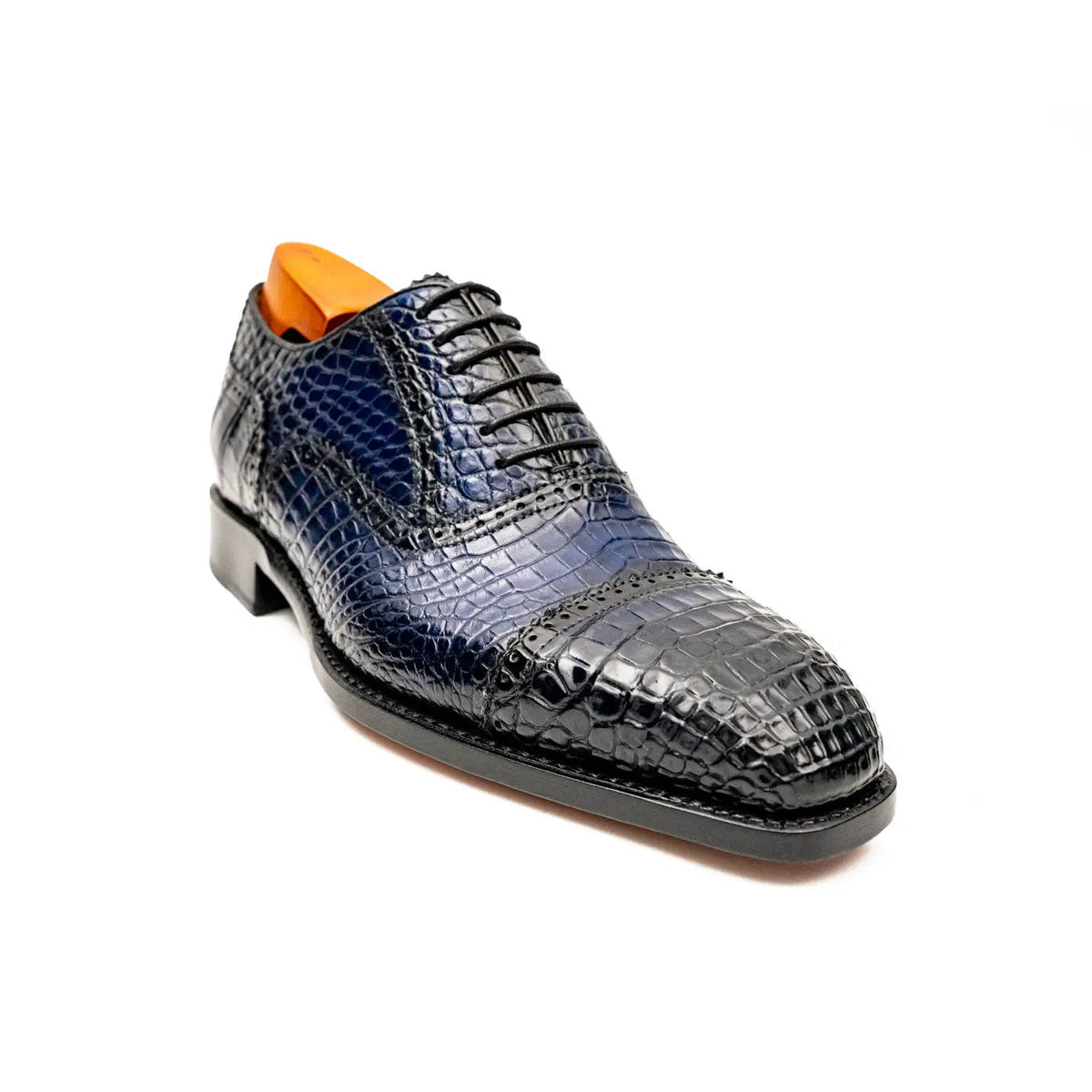 Midnight Crocodile Oxford