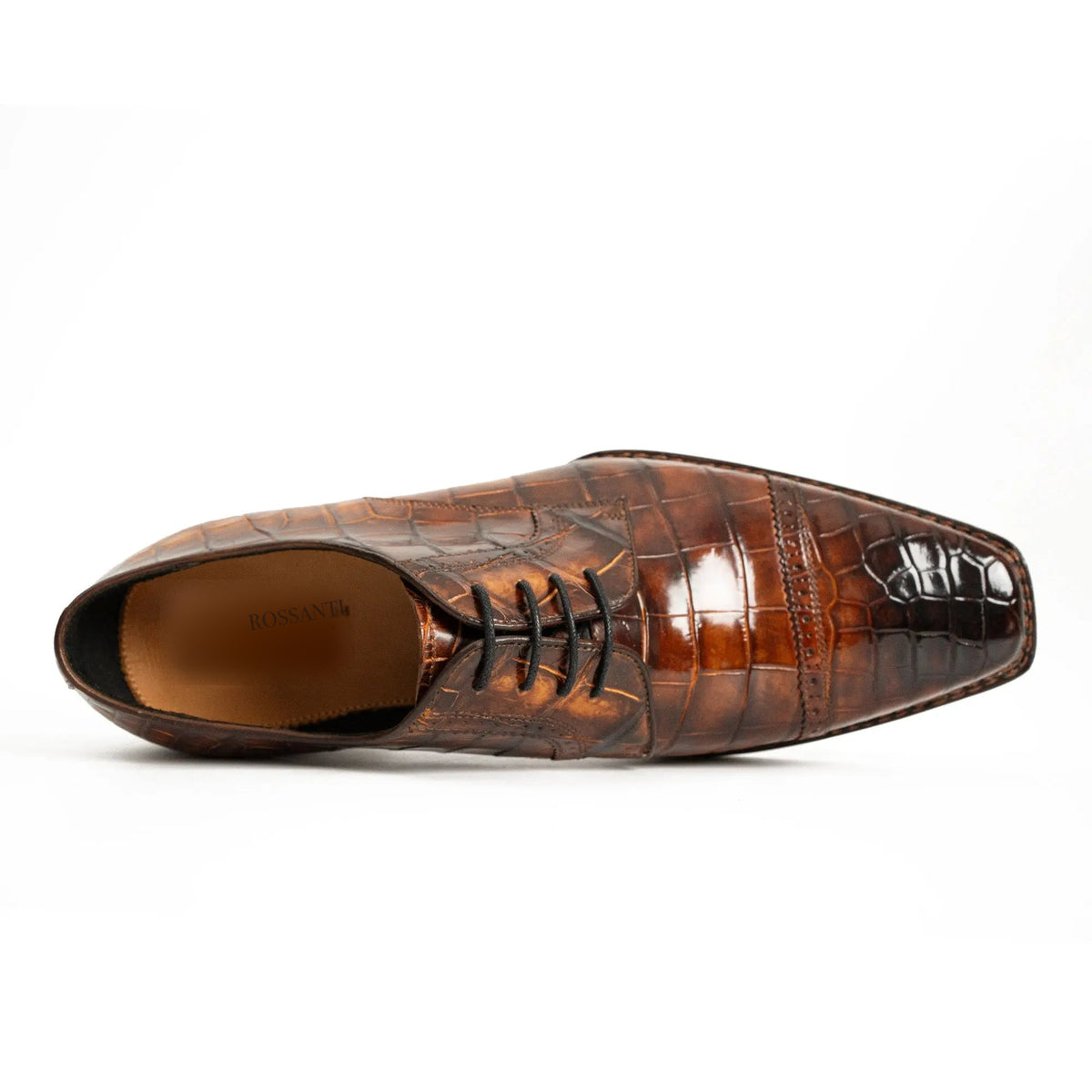Amber Crocodile Norwegian Derby