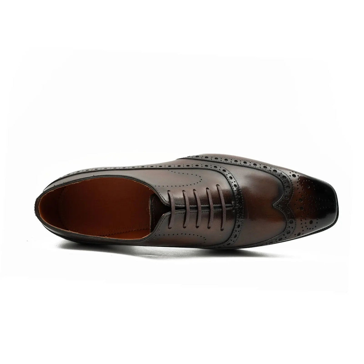 Burnished Wingtip Oxford