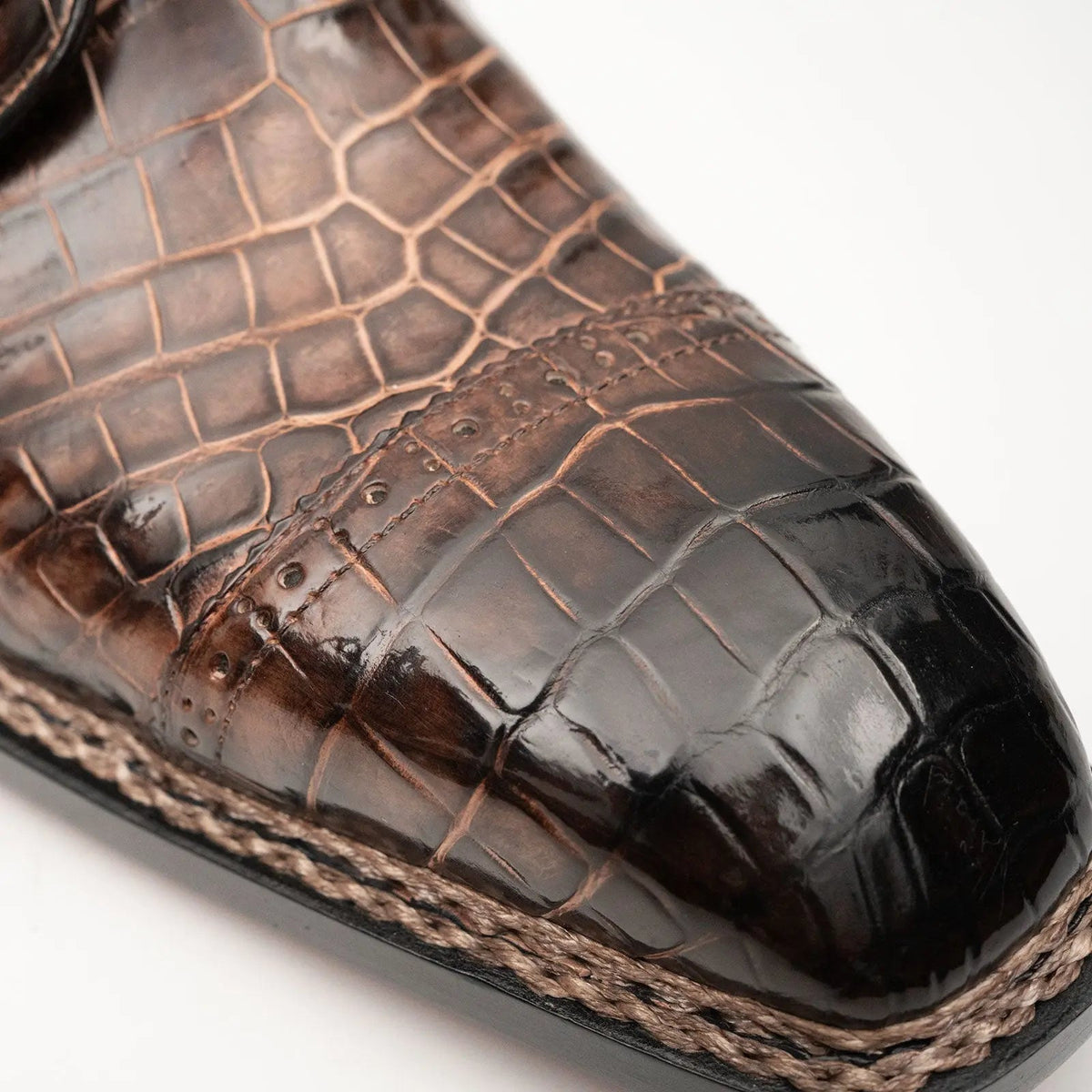 Mocha Crocodile Norwegian Derby