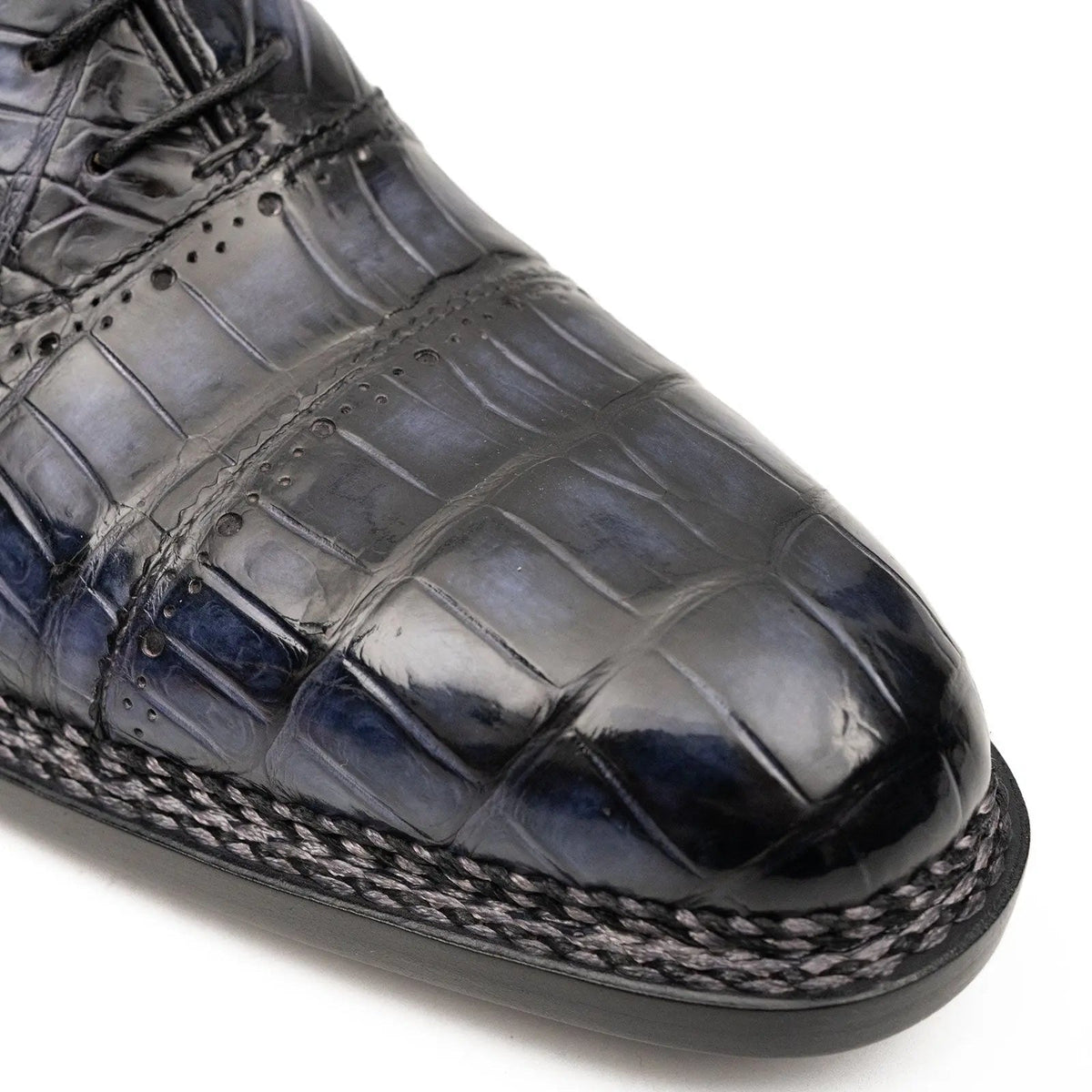 Midnight Crocodile Oxford